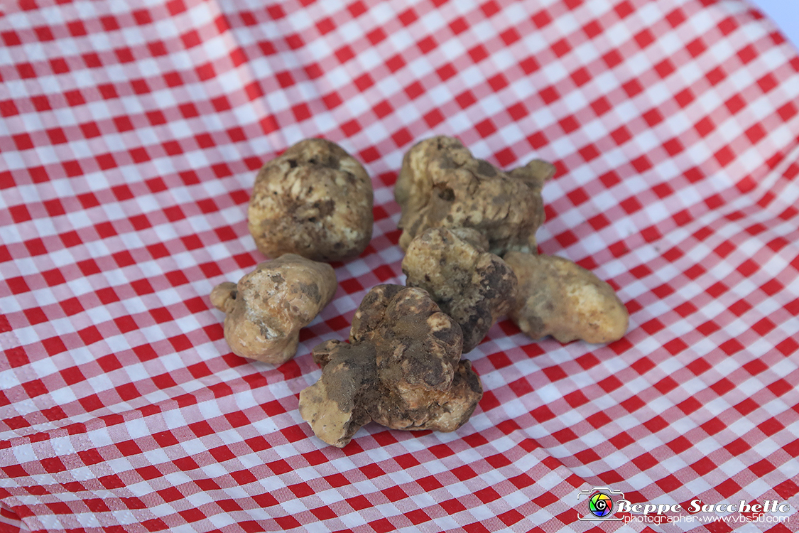 VBS_5520 - 10.ma Fiera Nazionale del Tartufo e Fiera dei Santi.jpg